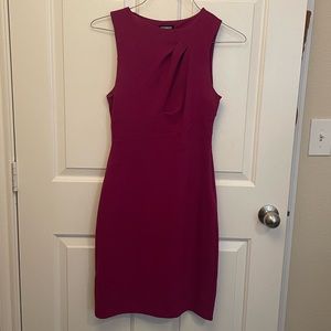Express cocktail dress